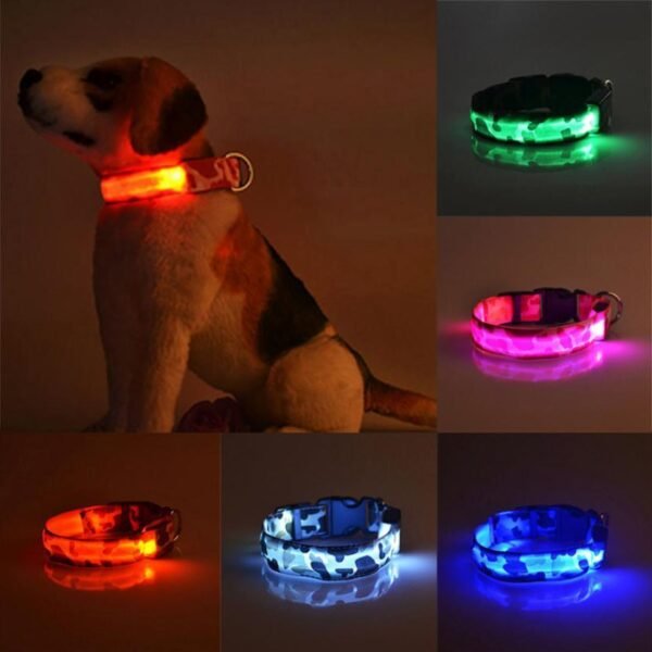 Nylon LED Dog Collar