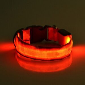 Nylon LED Dog Collar